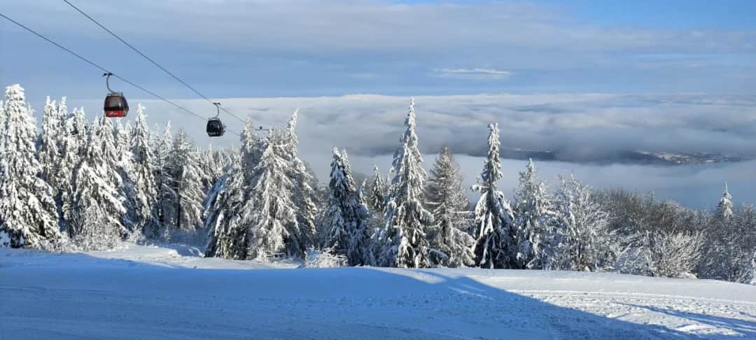 Jaworzyna Krynicka: Przewodnik po atrakcjach. Co robić latem i zimą?